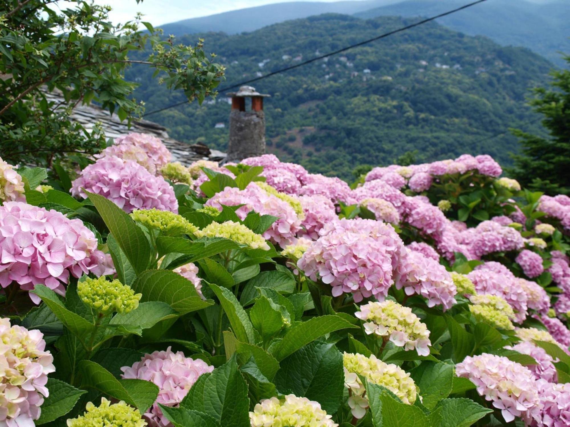 Villa Zina Agios Dimitrios Áyios Dhimítrios Exteriör bild